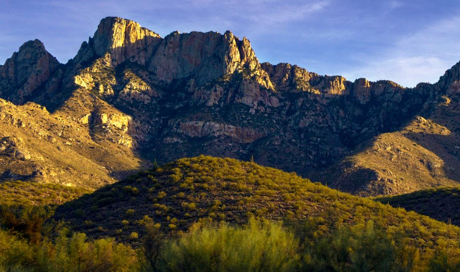 Catalina State Park, Arizona, USA